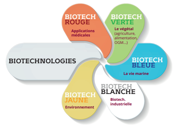 schéma - Les cinq couleurs des biotechnologies