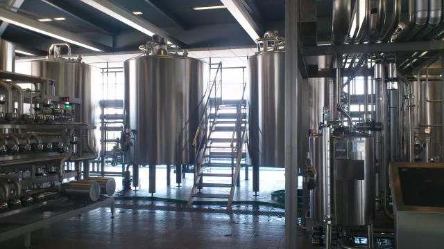 Fermenteur